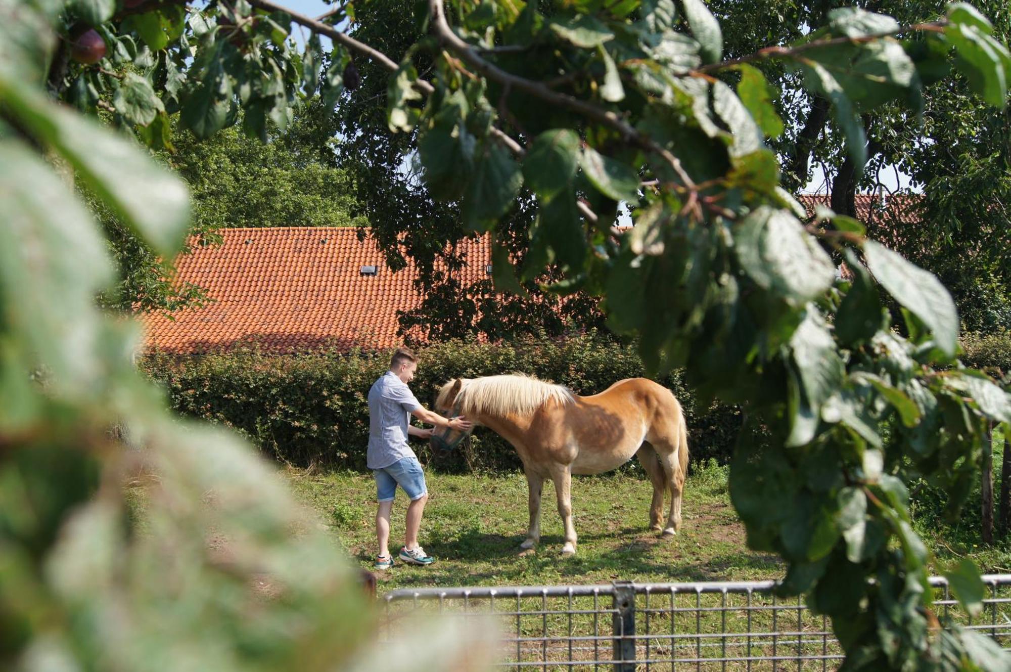 Hoeve Linnerveld Merum Exterior foto